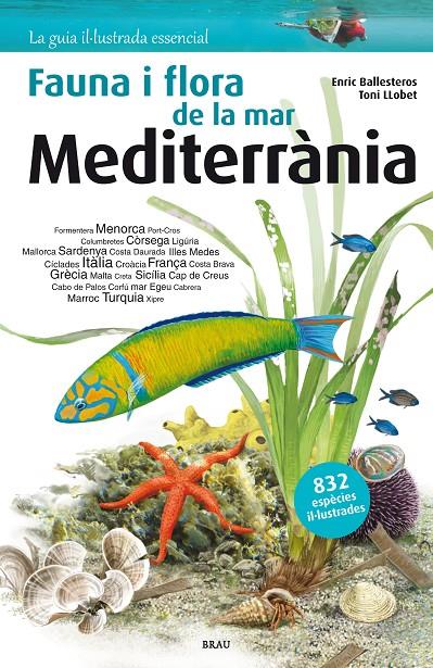 Fauna i flora de la mar Mediterrània | 9788415885979 | Ballesteros Sagarra, Enric