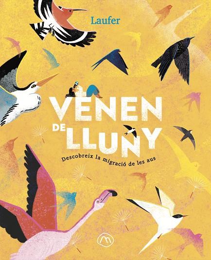 VENEN DE LLUNY | 9788482897349 | Laufer (Laura Fernández Arquisola)
