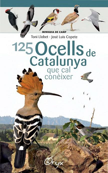 125 ocells de Catalunya | 9788490346747 | Llobet François, Toni/Copete, José Luis