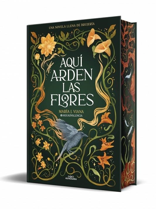 Aquí arden las flores | 9791387741662 | @aiguadvalencia