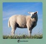 ANIMALES DE LA GRANJA 2 | 9788412683608 | Nowordbooks