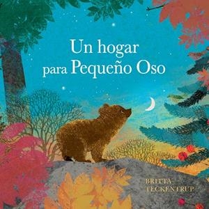 Un hogar para pequeño Oso | 9788410074705 | Teckentrup, Britta