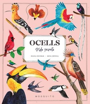 Ocells. Vida Secreta | 9788419095534 | Escobar, Diana