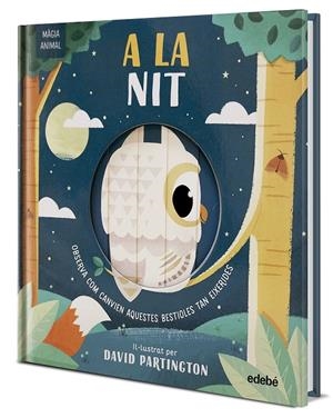 MÀGIA ANIMAL. A LA NIT | 9788468372143 | Clark, Neil/Stone, Harriet