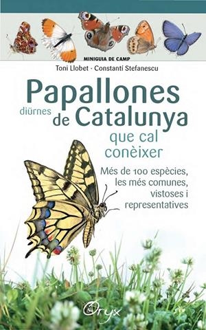 Papallones diürnes de Catalunya | 9788490346754 | Stefanescu, Constantí/Llobet François, Toni