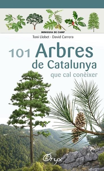101 arbres de Catalunya | 9788490346778 | Llobet François, Toni/Carrera Bonet, David