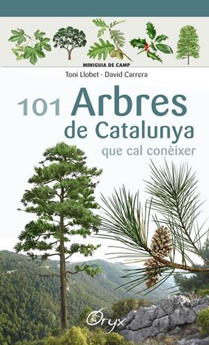 101 arbres de Catalunya | 9788490346778 | Llobet François, Toni/Carrera Bonet, David